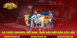 Cá cược esports Việt Nam
